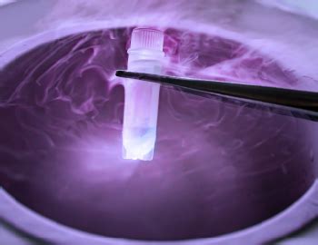 Infertility Treatment Options In India With High Success Rate at Oasis ...