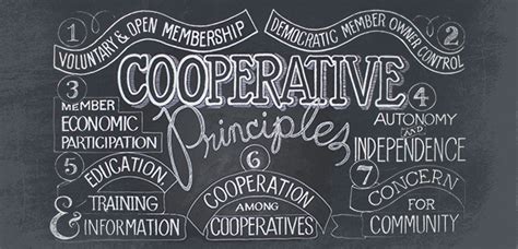 Co-operative Core Values 的图像结果