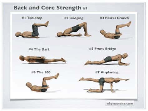 Image result for Isometric Back Exercises