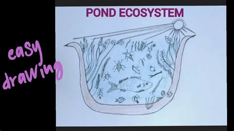 Ecosystem Drawing 的图像结果