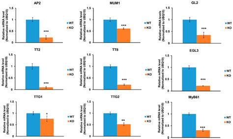 Disruption of the Arabidopsis Acyl-Activating Enzyme 3 Impairs Seed ...