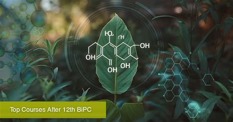 Top BiPC Courses After 12th Without NEET and EAMCET