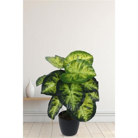 Buy Home Bloom Artificial PVC Big Leaves Plants for Indoor Outdoor with ...