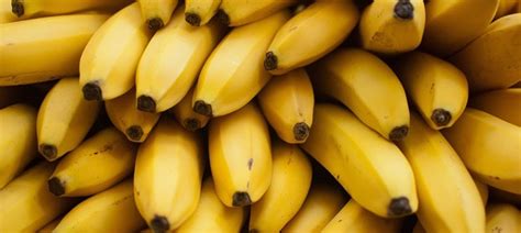 Mumbai Police force-feed thief 48 bananas to retrieve swallowed gold chain