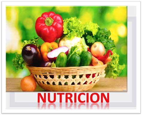 Beneficios de las Aplicaciones de Nutrición
