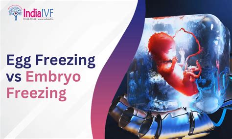 Egg Freezing Top 10 Advantages by the Experts - Personally Reviewed for Best Results