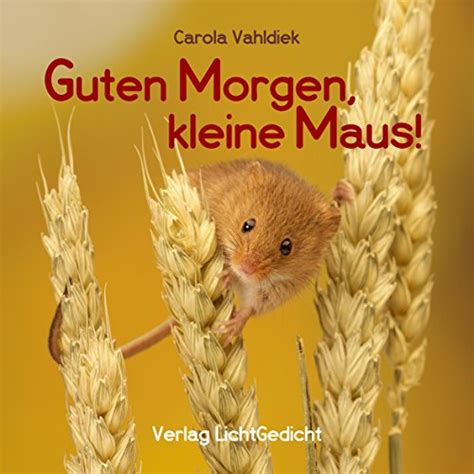 Guten Morgen, kleine Maus!: Eine Geschichte zum Fröhlichsein (Reihe ...