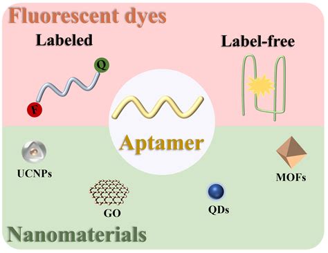 Recent Advances of Fluorescent Aptasensors for the Detection of ...