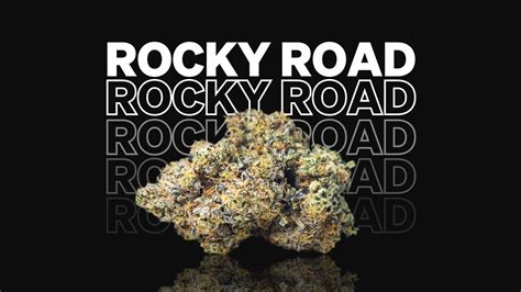 Rocky Road Strain: Effects, Potency, & Terpene Profile | MÜV