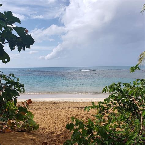 LET'S GO! (2026) All You Need to Know BEFORE You Go (w/ Reviews ...