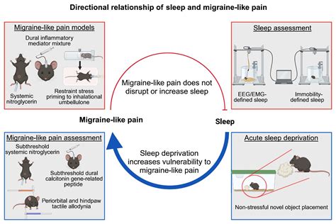 Image result for Sleep Migrane Connection