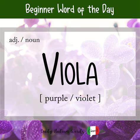 Italian Word of the Day: Viola (purple / violet) - Daily Italian Words