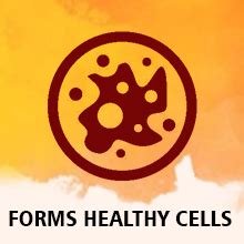 Buy Bakson"s Foli Plus Tablets | Help In Maintaining Brain Health ...