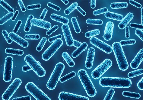 Unsaturated Iron Binding Capacity (UIBC) - Enfer Medical