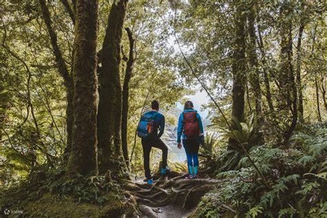 Milford Track Day Walk Experience - Klook India
