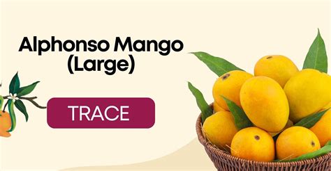 Traceability Mango