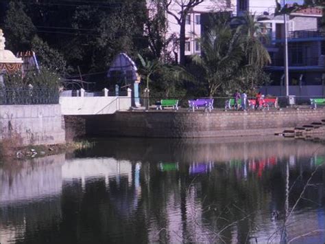 Environmental auditing of bangalore wetlands