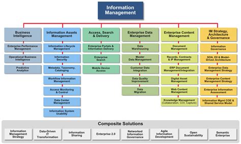 Data Management Organization Chart 的图像结果