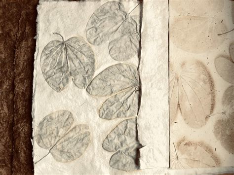 Plant to Paper: The process of making Handmade paper – Lost in Colours