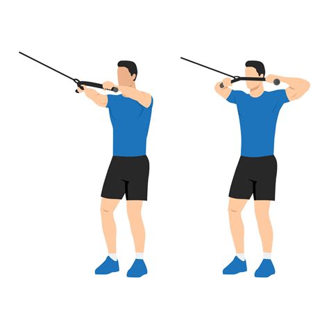 Man doing cable face pull exercise. Flat vector illustration. Shoulder ...