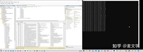 SQL Server 2000 的图像结果