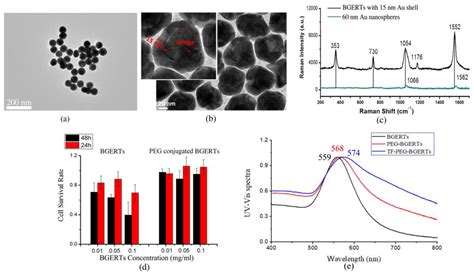 Dynamic Imaging of Transferrin Receptor Molecules on Single Live Cell ...