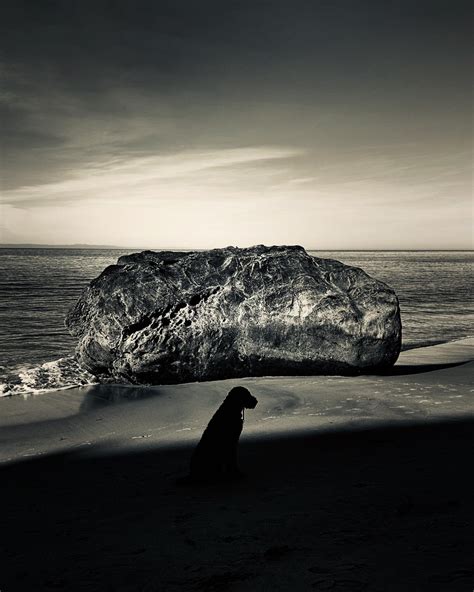 Gregg Segal | Outtake from my shoot with Sarah Jane Woodall, better ...