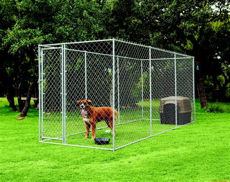 Dog Fence At Menards at Thomas Russo blog