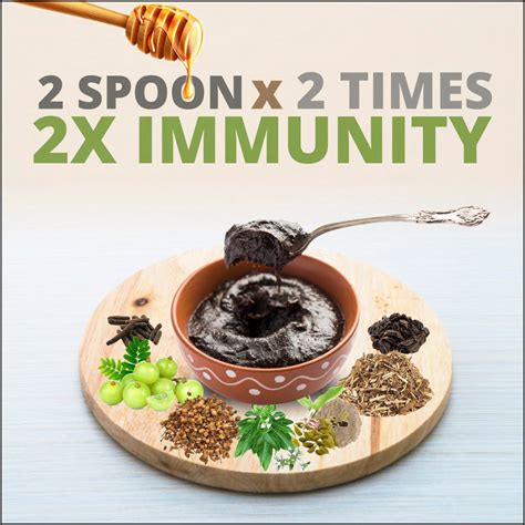 Axiom Royal Ayurvedic Chyawanprash 2x Immunity Booster made with Desi ...