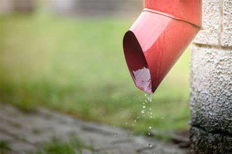Prepare your Roof Floor for Terrace Gardening - 5 Easy Steps – AllThatGrows