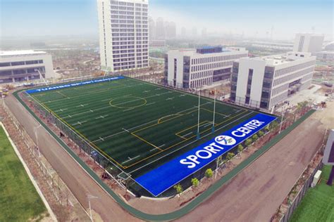 Crowned Sportsfield 的图像结果