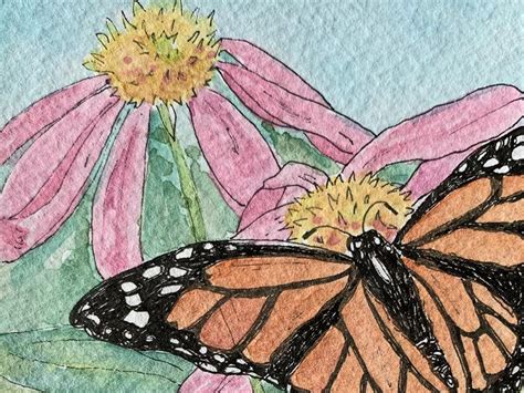 Drawing from Nature Class: Watercolor Wildflowers, 149 Natures Way ...