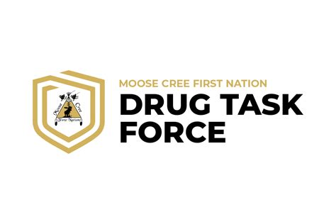 Task Force Committee 的图像结果