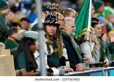 Image result for Springbok Rugby Pics