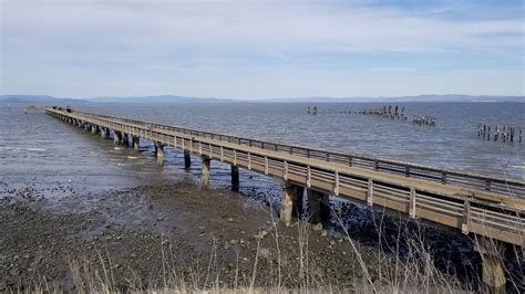 Point Pinole Regional Shoreline - tripswithvanda