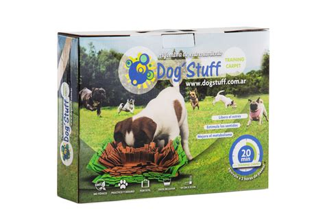 Image result for Programming Training Carpet