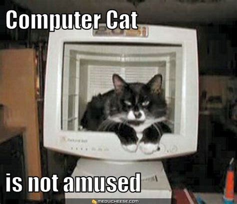 Image result for Cat Fixing Computer
