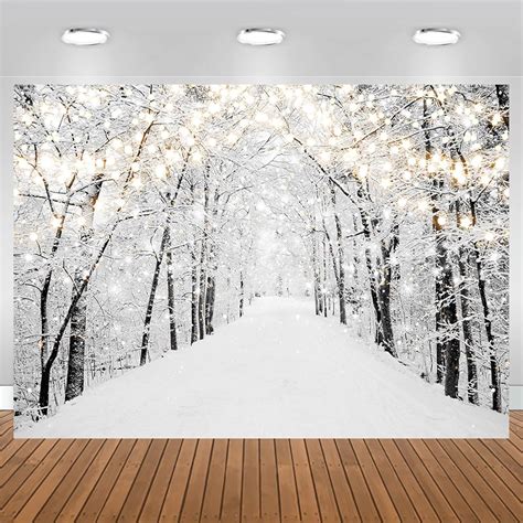Amazon.com : Mocsicka Winter Wonderland White Snow Backdrop Wonderland ...