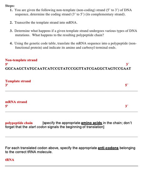 How to List the Complementary Non-Coding DNA Sequence 的图像结果
