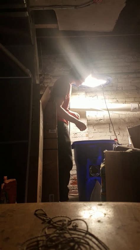 Image result for Locking Pulley System