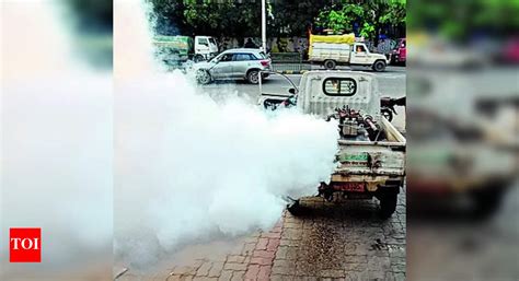 Dengue: Dengue Warning: Experts Urge Caution Amid Festival Season ...