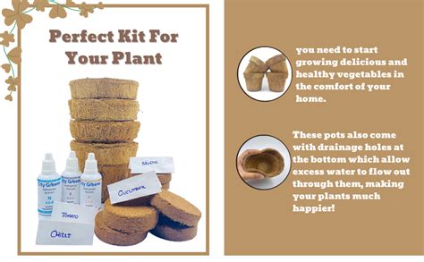 City Greens Garden Starter Kit | Seed Starter Kit | 4 in 1 Vegetable ...