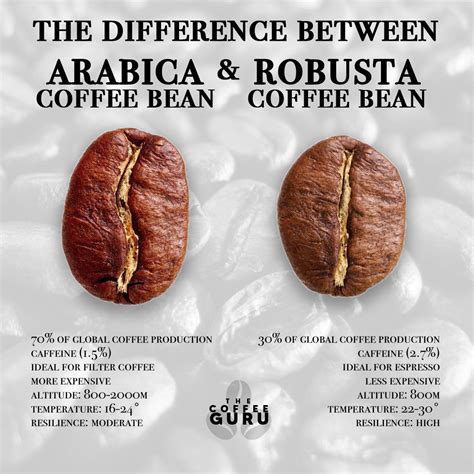arabica coffee beans caffeine content