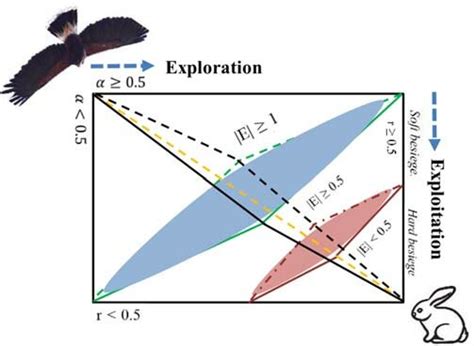 HHO Open System 的图像结果