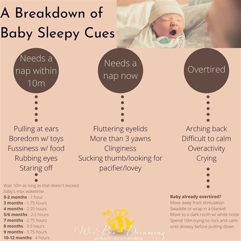 Wee Bee Dreaming Pediatric Sleep Consulting Blog — Wee Bee Dreaming ...