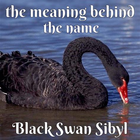 The Meaning Behind the Name “Black Swan Sibyl” - Black Swan Sibyl