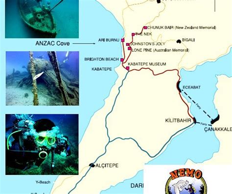 NEMO DIVE TEAM (2025) All You Need to Know BEFORE You Go (with Photos ...