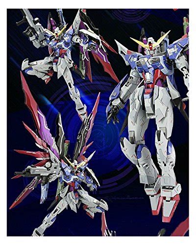 Buy 1ST RELEASE LIMITED Dragon Momoko MG 1/100 DESTINY dam Seed Model ...