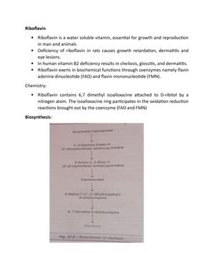 Shortest Path Algorithms - Shortest Path Algorithms Shortest path ...