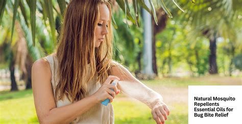 Natural Mosquito Repellents: Essential Oils for Bug Bite Relief ...